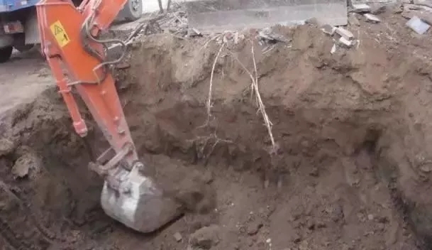 【案例】北京自建帶花園的中式別墅，精致豪華人人羨！